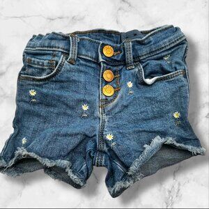 Old Navy‎ Toddler Girls 4T Adjustable Denim Daisy-Embroidered Frayed Hem Shorts